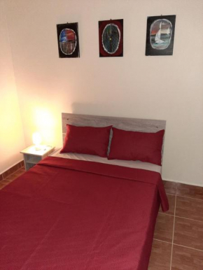 Trochetia Apartment 2